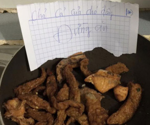 Vào bếp tìm cơm ăn, thấy dòng thư mẹ viết, cô gái trẻ đau lòng nhận ra mình không bằng một... con cún