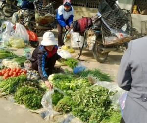 Bão số 4 chưa đổ bộ, rau xanh đã đội giá lên 10.000 đồng/mớ