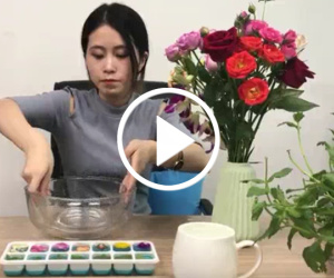 Thánh nữ công sở giải nhiệt ngày hè bằng món ăn siêu mát