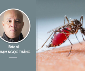 Chuyên gia cảnh báo: Mắc sốt xuất huyết, tuyệt đối không làm 1 việc kẻo "bệnh nặng thêm đấy"!