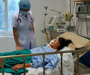 Một tuần Hà Nội có 1.400 người bệnh sốt xuất huyết vào viện