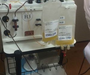 Sốt xuất huyết bùng phát làm khan hiếm máu, bệnh viện kêu gọi hiến tiểu cầu