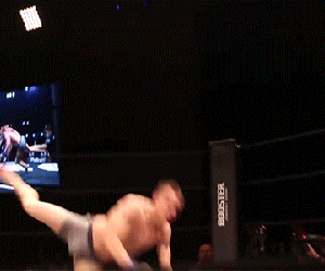 Sự kiện MMA tại Serbia: Ẩu đả sau cú đá gây tranh cãi