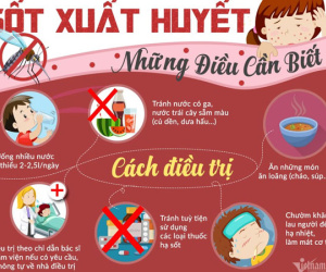 Đại dịch sốt xuất huyết: Phải đọc để bảo vệ gia đình