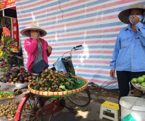 Dân Hà Nội "ăn quả lừa" nhãn lồng Hưng Yên "xịn"