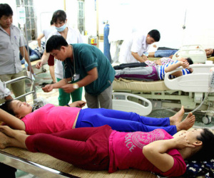 Ăn phải nấm độc, 10 người trong cùng gia đình suýt mất mạng