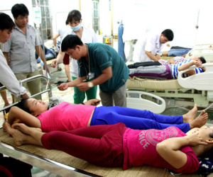 Gọi điện từ rừng sâu về cầu cứu sau khi 10 người ăn nấm lạ