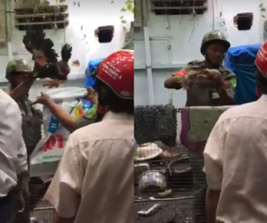 Vụ bẻ khóa bắt 9 con gà Đông Tảo: Cán bộ phải thượng tôn pháp luật