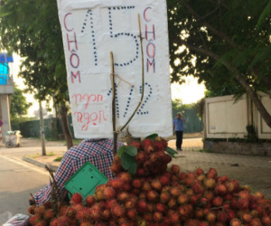 "Độc chiêu" kinh doanh hoa quả vỉa hè