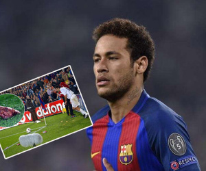 Neymar tới PSG: Fan Barca cho “ăn thủ lợn” giống Figo