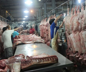 TPHCM: Thịt heo chợ đầu mối vẫn chưa thể truy xuất nguồn gốc