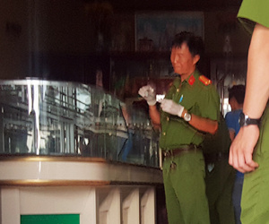 Ảnh minh họa