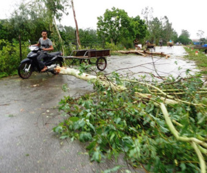 Tháng 8, Việt Nam phải hứng chịu bao nhiêu cơn bão?