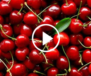 Video Thập tử nhất sinh sau khi ăn 3 quả cherry