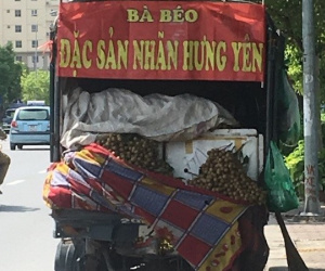 Thực hư “nhãn lồng Hưng Yên xịn” giá siêu rẻ ngập đường phố Hà Nội?