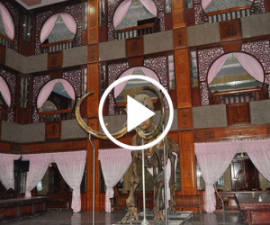 Cận cảnh tài sản khủng của đại gia vừa bị bắt Trầm Bê: Lâu đài, xương voi ma mút vô giá