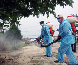 Muỗi "khoẻ hơn" vì người dân tự ý phun thuốc diệt muỗi
