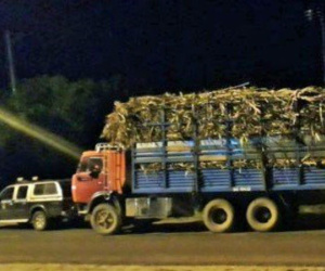 Chở quá tải xin xỏ không được, nhắn tin 'dọa' tông chết thanh tra