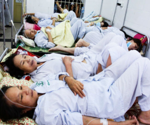 Hà Nội: Bệnh nhân sốt xuất huyết nằm la liệt ở bệnh viện Bạch Mai