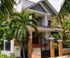 May mắn, tài lộc vào "ầm ầm" như lũ cuốn nhờ trồng những loại cây này trước nhà