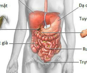 Căn bệnh ung thư chỉ có 4/100 người sống trên 5 năm: Cảnh báo từ cơn đau bụng