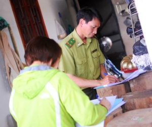 Giám định gỗ nghi thông đỏ trong nhà trưởng ban quản lý rừng