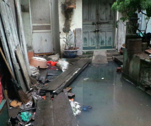 Hà Nội: Hàng chục hộ dân sống trong ổ muỗi, lo sợ sốt xuất huyết tấn công vì đường cống thoát nước chung bị bịt kín