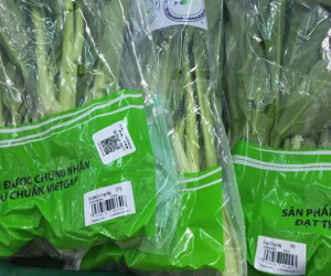 Một bó rau "cõng" 5 loại tem