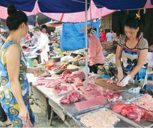 Bữa ăn ngập kháng sinh