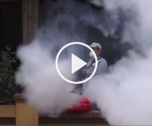 Video: Hà Nội lần đầu dùng máy phun mù nóng diệt muỗi
