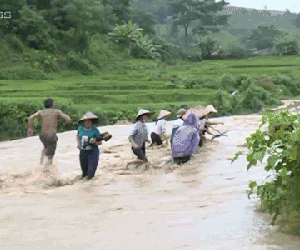 Video: Nhiều người đứng giữa dòng lũ vớt củi