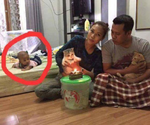 Cười đau ruột cảnh bố mẹ "bơ" con trai nằm chơ vơ một mình để chuyên tâm tổ chức sinh nhật cho… mèo