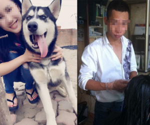Hà Nội: Bạn thân cho mượn chó để đỡ trầm cảm, nam thanh niên bán trộm Husky lấy 2 triệu đồng