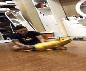 Anh chồng "đập heo" sau 4 năm, mang hơn 600 triệu đưa vợ đi châu Âu du lịch