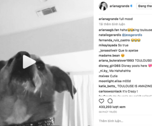 Ariana Grande đăng tải clip đầu tiên sau khi rời Việt Nam: Muốn ám chỉ điều gì?