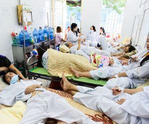 Đại dịch sốt xuất huyết lây lan, dân công sở ám ảnh khi đồng nghiệp lần lượt nhập viện
