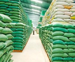 Bắt trưởng phòng "ăn" hơn 1.000 tấn cám, chiếm đoạt gần 10 tỷ đồng