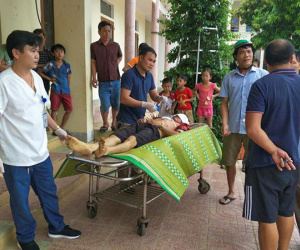 Nhân viên thú y bị trâu húc tử vong khi tiêm phòng