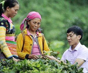 600 trí thức trẻ làm Phó chủ tịch xã: Không phải để "tráng men”