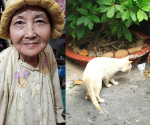 Cuộc đời buồn của cụ bà 80 tuổi đi ăn xin để chăm sóc chó, mèo hoang