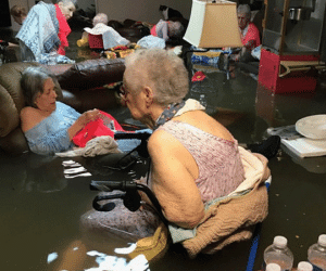 Mỹ: Bức ảnh gây sốc trong bão Harvey