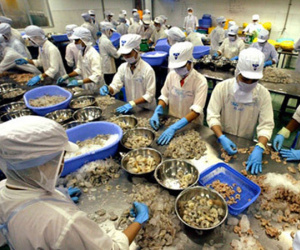 Thực phẩm Việt "ngơ ngác" vì bị từ chối vào Mỹ