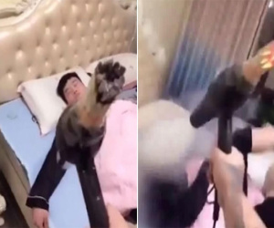 Vợ nhét thuốc lá vào máy sấy tóc phả vào mặt chồng