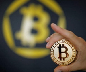 Cơn sốt nhập "trâu cày" Bitcoin