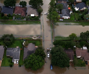 44 người chết tại Texas vì bão Harvey