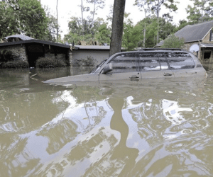 Bão Harvey qua đi, người dân Mỹ "không nhà không cửa"