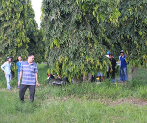 Kinh hãi phát hiện người phụ nữ nằm chết bên vệ đường