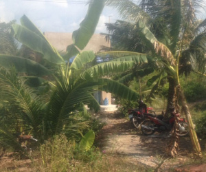 Thầy giáo tử vong trong tư thế treo cổ ngay ngày khai giảng