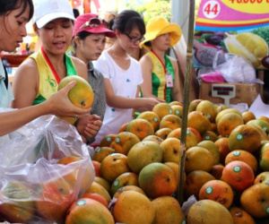 Trung Quốc gom mua 3/4 lượng rau quả Việt Nam