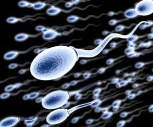 Xuất tinh thường xuyên giúp ngăn ngừa ung thư tiền liệt tuyến?